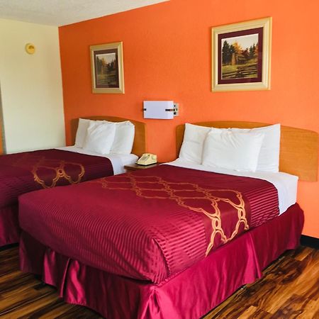 Bear Mount Inn & Suites Pigeon Forge Phòng bức ảnh